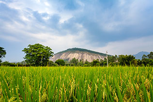 梧州骑楼风情美食、封开梦多奇、千层峰二天